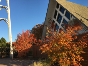 Picture of the front of a church building. In front of the building are trees in sunlight showing off the red and orange colors of the leaves.