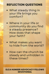 A card with reflection questions on a golden background. REFLECTION QUESTIONS: What steady thing in your life brings you comfort? Where in your life or community do you find a steady presence? How does that shape your faith? What makes you want to hide from the world? How can the church be steady and unhidden in these times?