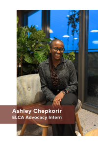 The author, Ashley, sits on a chair near a window, surrounded by green plants.