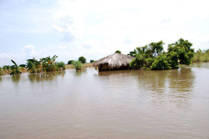 Malawi flooding - courtesy of ELDS