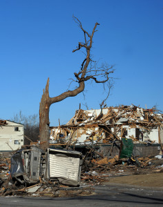 Washington, IL, Dec. 7, 2013-- A truck is wrapped around a tree from from the Nov. 17, 2013 tornado in the Georgetown Common apartments. Residents impacted by the tornado are encouraged to register with FEMA by calling (800)-621-3362 or (TTY) (800) 462-7585 or online at www.DisasterAssistance.gov. Jocelyn Augustino/FEMA