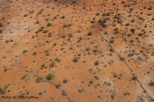 From the air, the border area of Kenya, Somalia and Ethiopia makes a barren and desolate landscape. All plant life, except the most drought-resistant trees and bushes, have dried out and died. Animal carcasses lie beneath them. The region experiences the worst drought in 60 years.