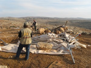 Demolition in Palestine