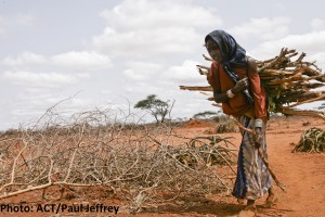 RS3972_2011_Ethiopia_drought-7099