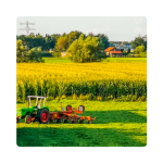 A green tractor with a red plow in a lush field, with a golden cornfield, trees, and a house in the background.