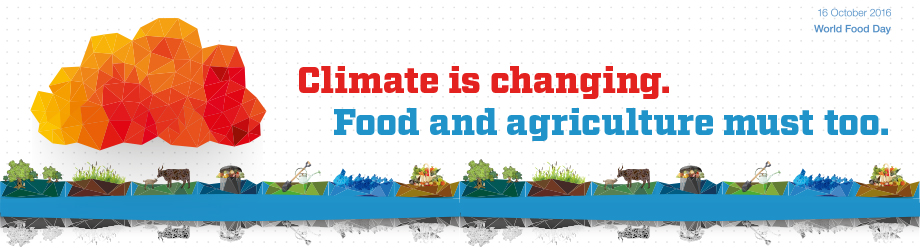 web-banner-wfd2016-english