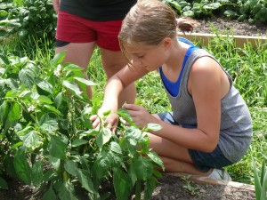 Garden (1).