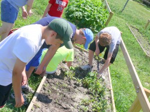 Green Thumb Gardeners