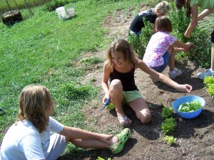 Working in Garden 2