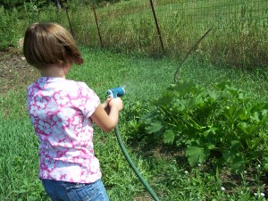 Working in garden
